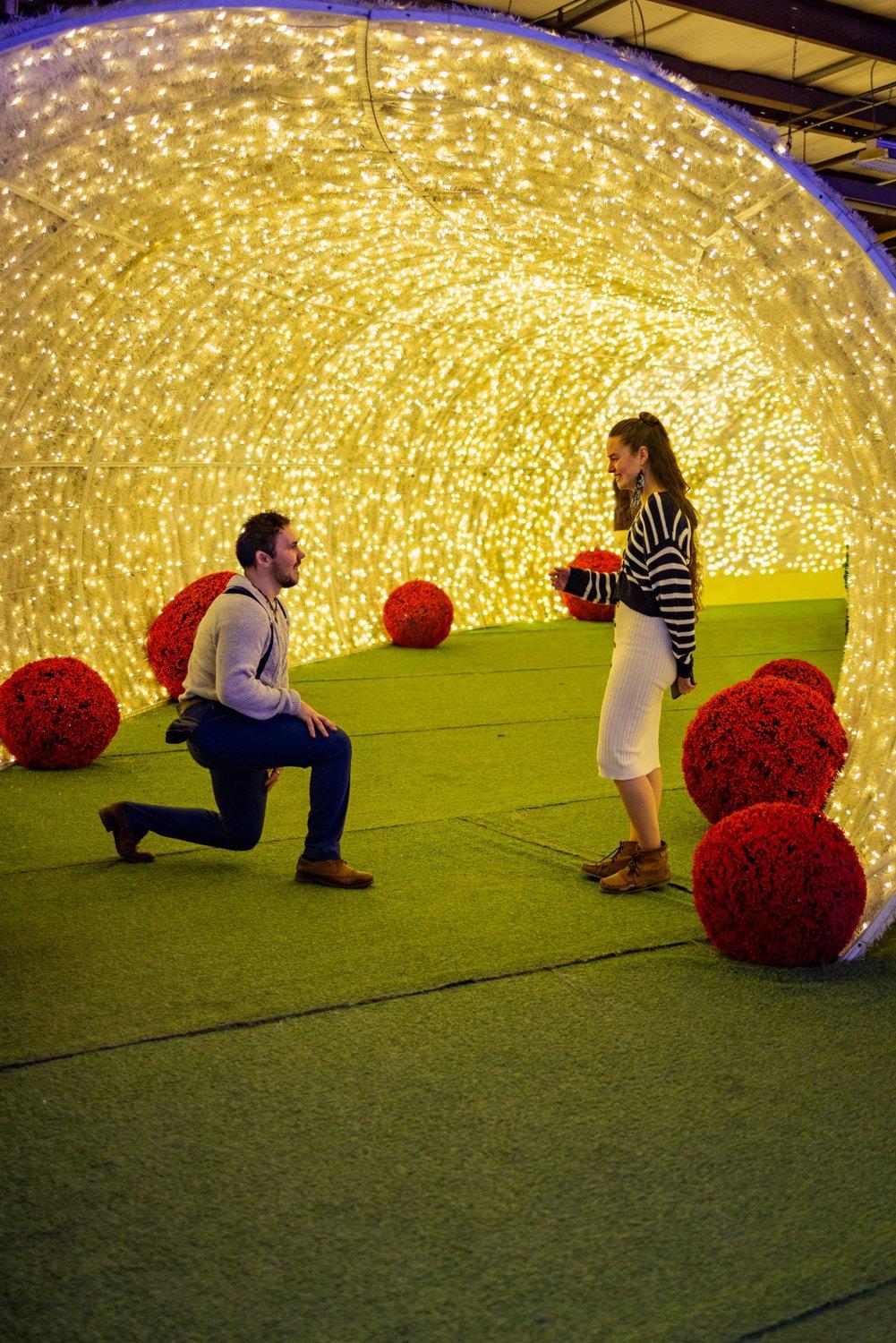 carousel-hero-element image-1